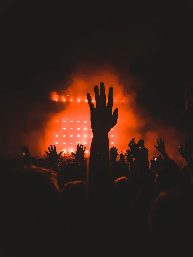 Crowd at a live moment, hands raised